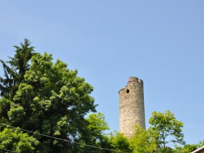 A ROBURENT NEL CUORE DELLE ALPI MONREGALESI